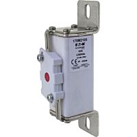 170M2105 Ultra rychlá pojistka pro ochra