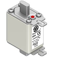 170M2681 Ultra rychlá pojistka pro ochra