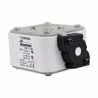 170M6560 Ultra rychlá pojistka pro ochra