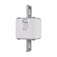 170M6696 Ultra rychlá pojistka pro ochra