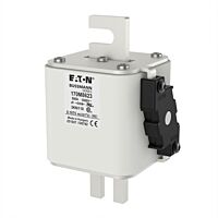 170M8623 Ultra rychlá pojistka pro ochra