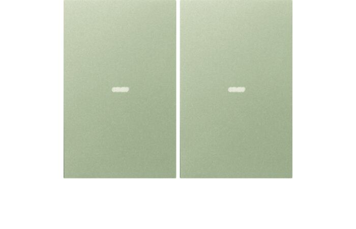 Kryt pro tlačítkový modul, 2-násobný s p