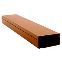 MALPRO Lišta ELIM 100x40 vkládací imitace světlé dřevo 2m