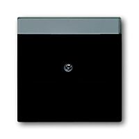 ABB FUTURE, LINEAR Kryt zásuvky komunikační pro 2 zásuvky, mechová černá