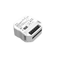 CONTROLLER CLICK RGB 12-48V SMART Tuya W