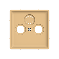 5011C-A00300 D2 Kryt zásuvky televizní,