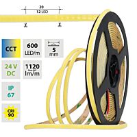 LED pásek COB dual white - 2 póly, 600LE