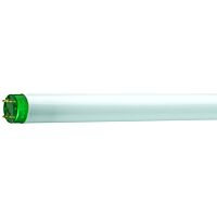 PHILIPS Trubice 32W/865 Master TL-D Eco