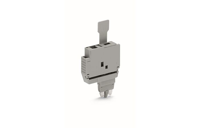 2004-911 Poj. ST.M. v. ASCHE F.Poj. 5