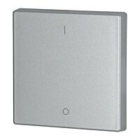 CWIZ-01/13 Kryt RF tlačítka 55x55 mm 1-0