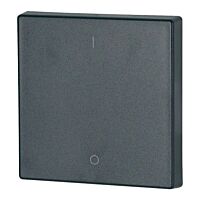 CWIZ-01/14 Kryt RF tlačítka 55x55 mm 1-0