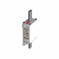 NH FUSE 63A 500V GL/GG SIZE 01 DUAL IN P