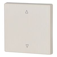 Kryt RF tlačítka 55x55 mm lesklý, 1-0 -