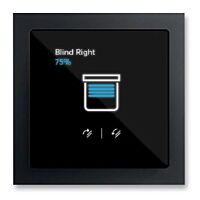 ABB Panel 2TMA310011B0001 dotykový ABB Trevion 2,4" (55x55), černý