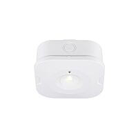 P-LIGHT CL white 6000K 3W