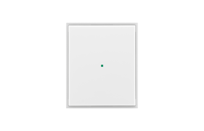 ABB ELEMENT TIME Ovladač 6220E-A01000 01, 1násobný, bez potisku, bílá/ledová bílá