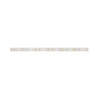 PANLUX Pásek LED CW 6W/m 24VDC 60LED/m IP20 kotouč 5m