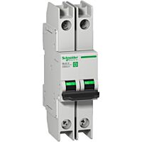 SCHNEIDER Jistič Multi9 C60BPR 2P C 8A 10kA 480Y/2
