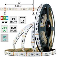 MCLED Pásek LED SMD5050 RGB + WW, 60LED/m, 19,2W/m, 890lm/m, IP20, DC 24V, 12mm, 50m