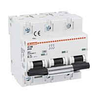 P2MB3PD125 Jistič 3P, 10kA, D, 125A