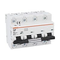 P2MB4PD100 Jistič 4P, 10kA, D, 100A