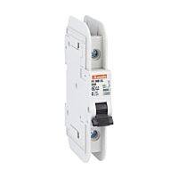 P1MBUL1PD40 Jistič 1P, D, 40A, mini