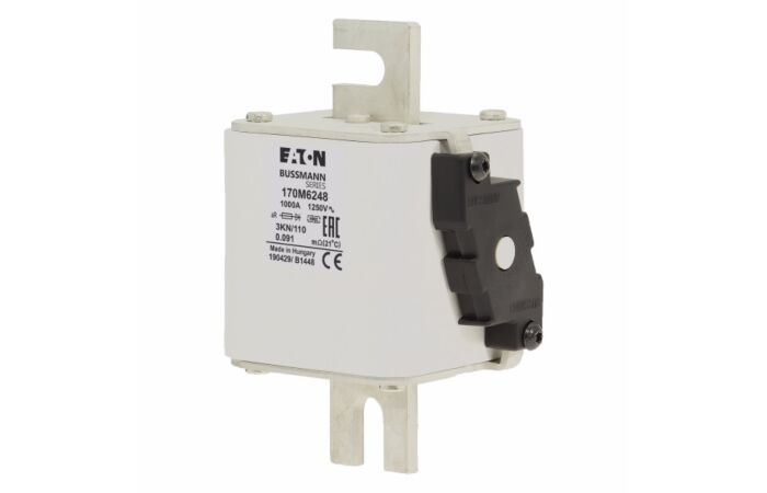 170M6248 Ultra rychlá pojistka pro ochra