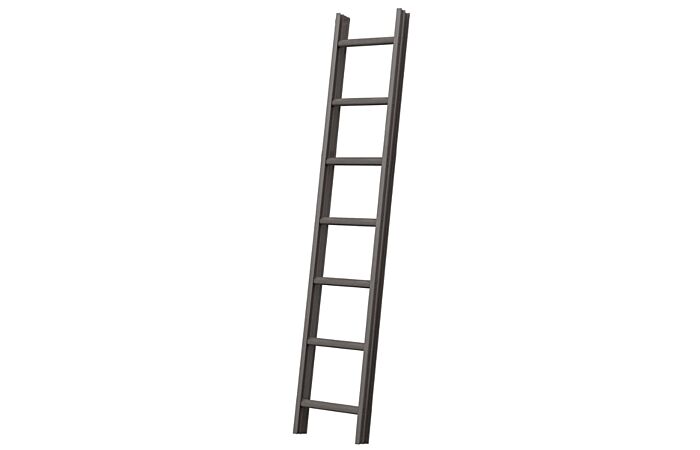 Žebřík PD114N Alu střešní