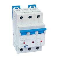 SEZ Jistič 20B/3 PR63