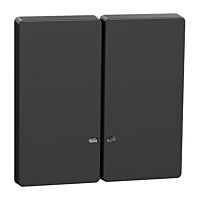 Dvojitá klapka s průzorem, antracit