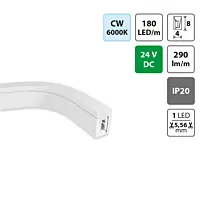 LED Neon 4x8mm SB/W/CV/FC, CW, 10W/m, DC