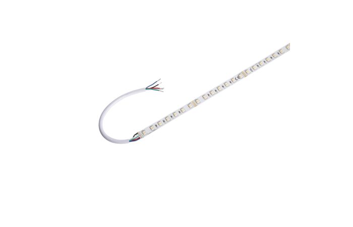 GRAZIA PRO, FLEXSTRIP 24V 12mm RGBW