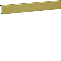 TEHALIT Víko kanálu SL200552D3, šířka 20mm, dekor javor, délka 2m