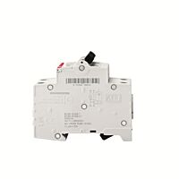 ABB Chránič s jističem DS201M newDS201 M C20 F30 2CSR275580R1204