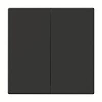 ABB Kryt 2CKA006730A0133 pro Friends of Hue smart switch; antracitová; 6736 FoH-81