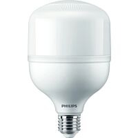 PHILIPS Žárovka LED 30W E27 4000K 240° TForce