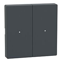 SCHNEIDER MTN625214 Kryty pro 2-násobný tlač. modu