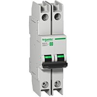 SCHNEIDER Jistič Multi9 C60BPR 2P D 10A 10kA 480Y/