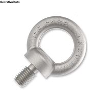 AREA METAL Šroub M12 závěsný s okem Zn DIN580 (20ks)