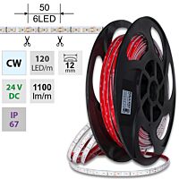 LED pásek SMD2835 CW, 120LED/m, 14W/m, D