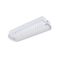 P-LIGHT CW white 6000K 6W