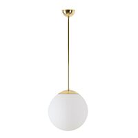 LED-5L06E300Z11/PM2AM/L60 MS DALI 4K#