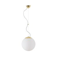 LED-5L06E300ZL11/PM2AM/L100 MS DALI 4K#