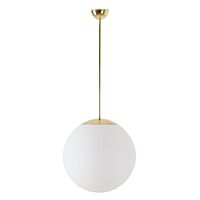 LED-5L06E550Z11/PM3AM/L100 NK3HST MS 4K#