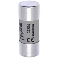 CYLINDRICAL FUSE 22 x 58 4A GG 690V AC V