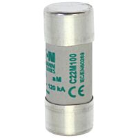CYLINDRICAL FUSE 22 x 58 100A AM 500V AC