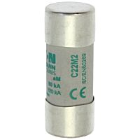 CYLINDRICAL FUSE 22 x 58 2A AM 690V AC V