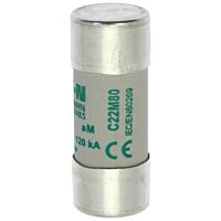 CYLINDRICAL FUSE 22 x 58 80A AM 500V AC