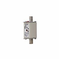 170M1560D Ultra rychlá pojistka pro ochr