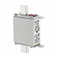 170M1569D Ultra rychlá pojistka pro ochr